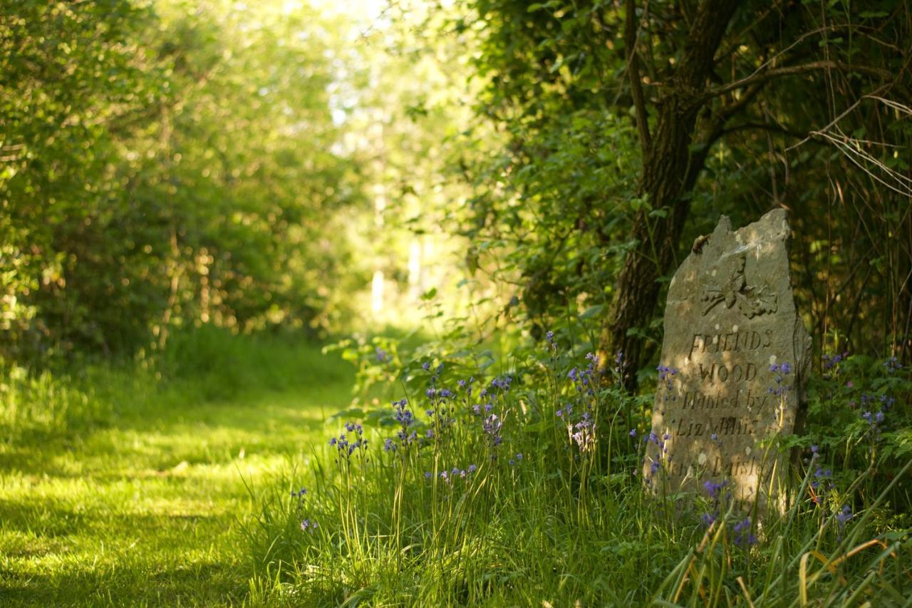 Holwell Holistic Retreat Bed and Breakfast Barnstaple Eksteriør billede